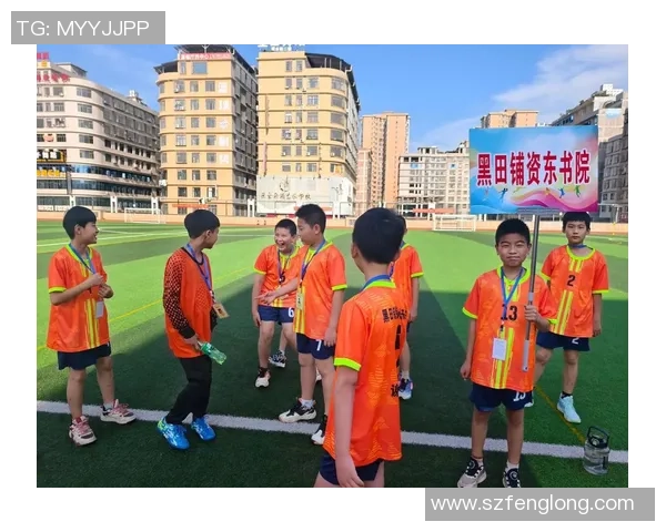 足球飞了背后的故事与梦想如何在绿茵场上绽放光彩