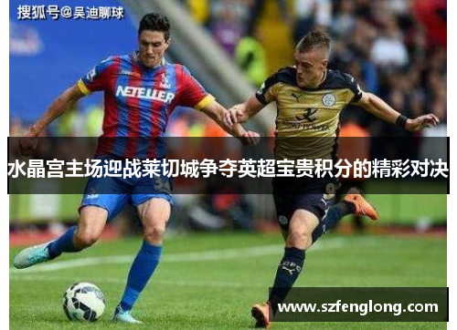 水晶宫主场迎战莱切城争夺英超宝贵积分的精彩对决